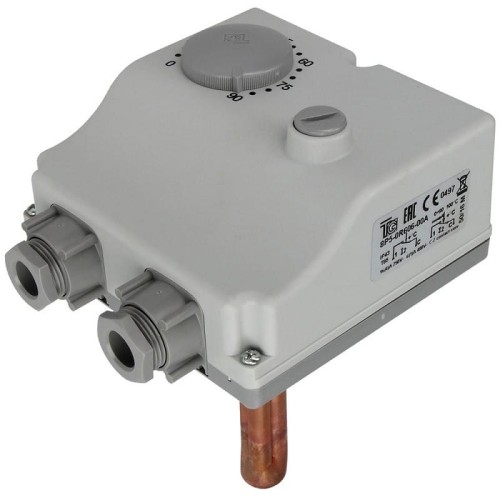 termostat 8P5.jpg